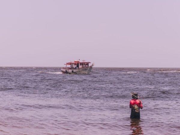 Angeln an der Nordsee 2026: Das müssen Sie wissen